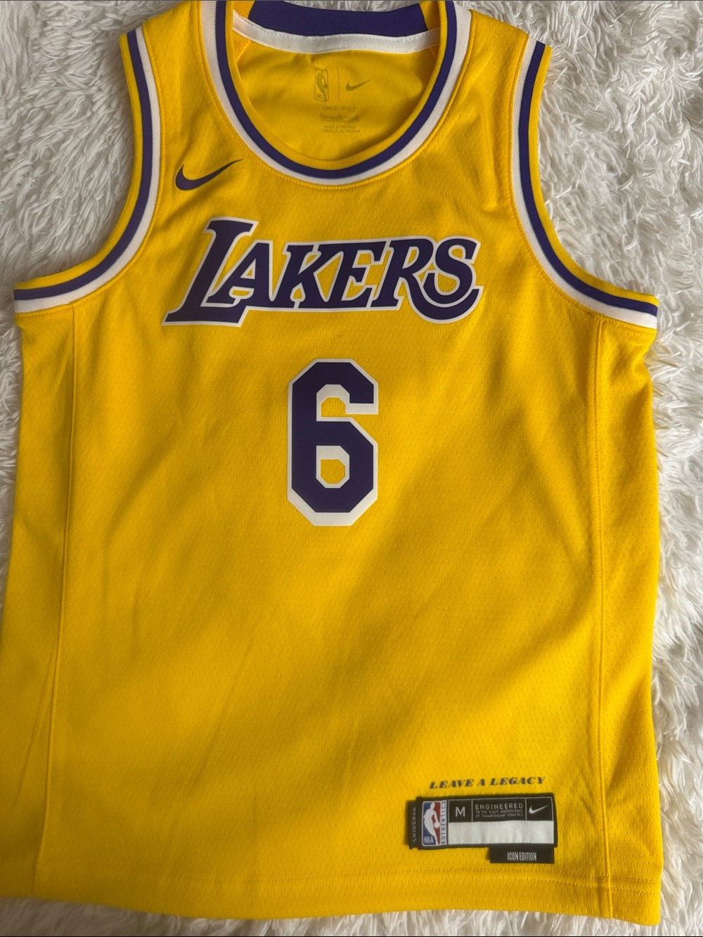 Nike Lakers Purple and Yellow #6 Basketball Jersey